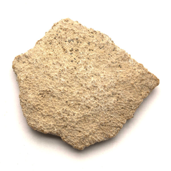 Saltasaurus äggskal